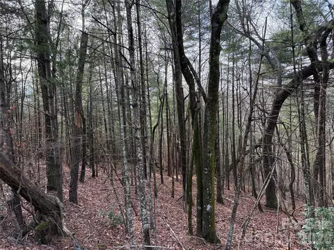 21 Buck Mountain Road #21, Purlear, NC 28665 photo 17
