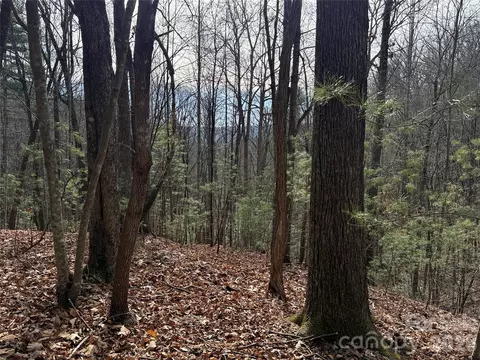 21 Buck Mountain Road #21, Purlear, NC 28665 photo 9