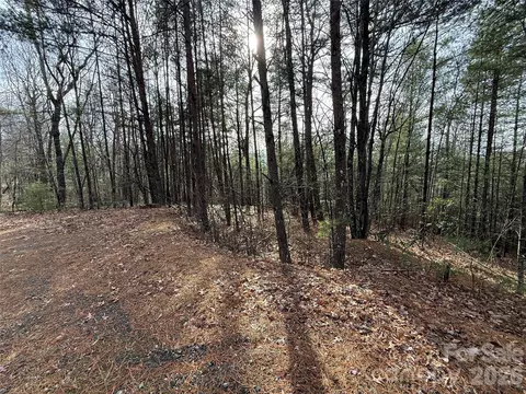 21 Buck Mountain Road #21, Purlear, NC 28665 photo 4