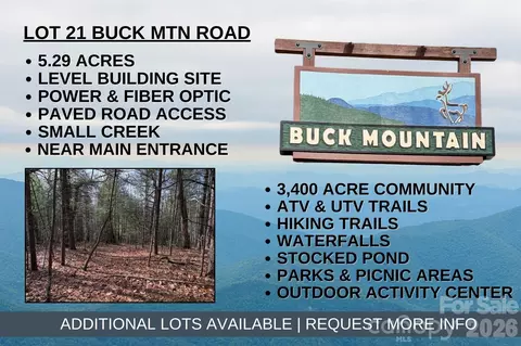 21 Buck Mountain Road #21, Purlear, NC 28665