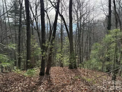 21 Buck Mountain Road #21, Purlear, NC 28665 photo 2