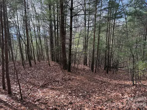 21 Buck Mountain Road #21, Purlear, NC 28665 photo 16