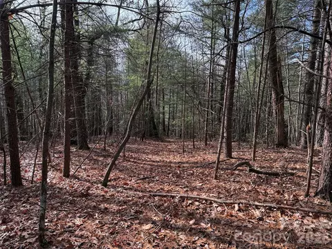 21 Buck Mountain Road #21, Purlear, NC 28665 photo 7