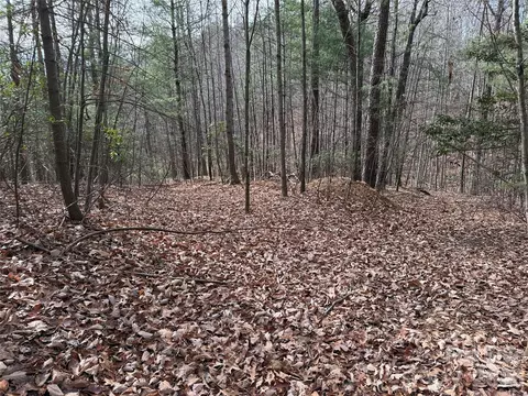 21 Buck Mountain Road #21, Purlear, NC 28665 photo 11