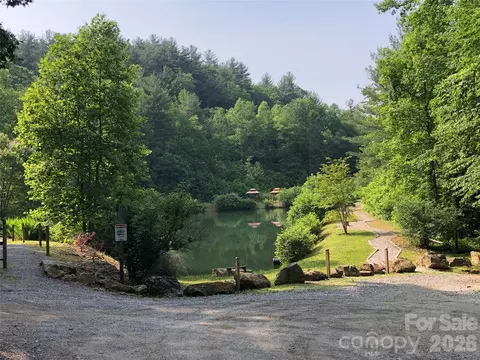 21 Buck Mountain Road #21, Purlear, NC 28665 photo 37