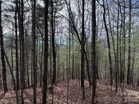 21 Buck Mountain Road #21, Purlear, NC 28665 photo 8