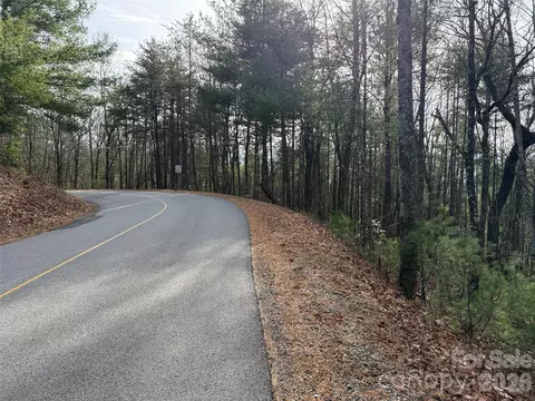 21 Buck Mountain Road #21, Purlear, NC 28665 photo 18