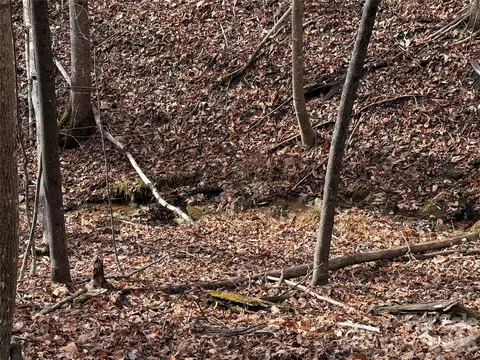 21 Buck Mountain Road #21, Purlear, NC 28665 photo 6