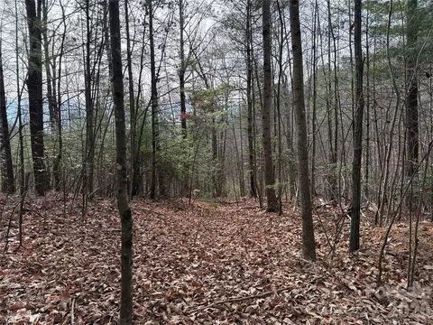 21 Buck Mountain Road #21, Purlear, NC 28665 photo 10