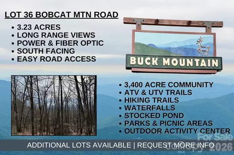 Bobcat Mountain 36 Road #36, Purlear, NC 28665