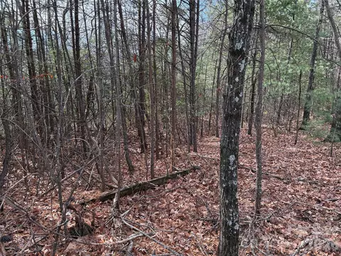 Bobcat Mountain 36 Road #36, Purlear, NC 28665 photo 8