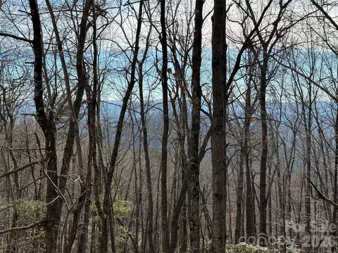 Bobcat Mountain 36 Road #36, Purlear, NC 28665 photo 2