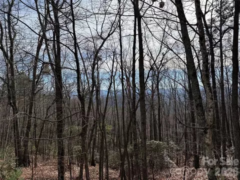 Bobcat Mountain 36 Road #36, Purlear, NC 28665 photo 5
