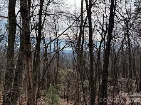 Bobcat Mountain 36 Road #36, Purlear, NC 28665 photo 7