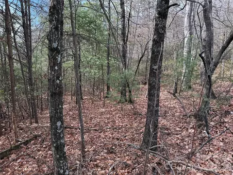 Bobcat Mountain 36 Road #36, Purlear, NC 28665 photo 6