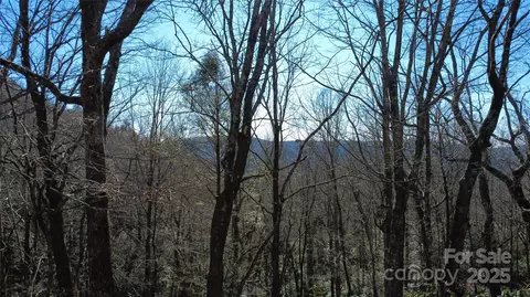 Big Branch Road, Brevard, NC 28712