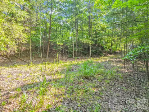 2 Jackson Cove W Rd W, Mill Spring, NC 28756 photo 8