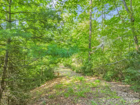 2 Jackson Cove W Rd W, Mill Spring, NC 28756 photo 7