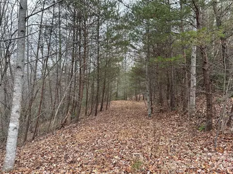 2 Jackson Cove W Rd W, Mill Spring, NC 28756 photo 7