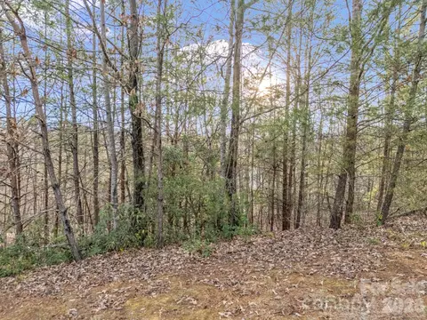 2 Jackson Cove W Rd W, Mill Spring, NC 28756 photo 36