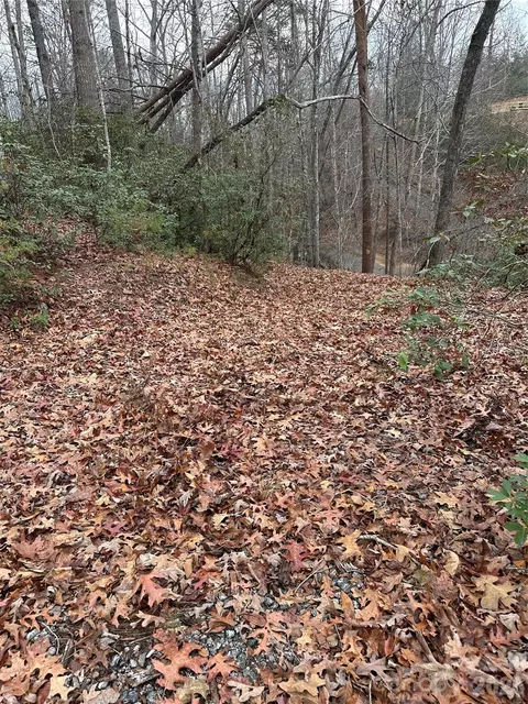 2 Jackson Cove W Rd W, Mill Spring, NC 28756 photo 10