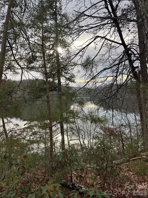2 Jackson Cove W Rd W, Mill Spring, NC 28756 photo 3