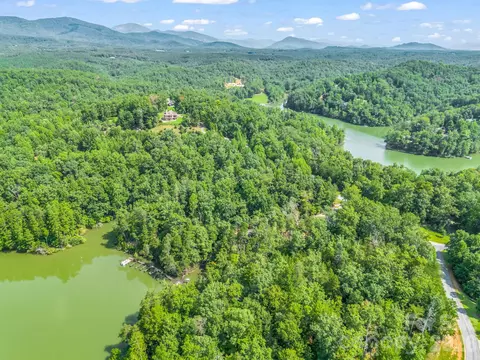 2 Jackson Cove W Rd W, Mill Spring, NC 28756 photo 44