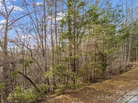 2 Jackson Cove W Rd W, Mill Spring, NC 28756 photo 33