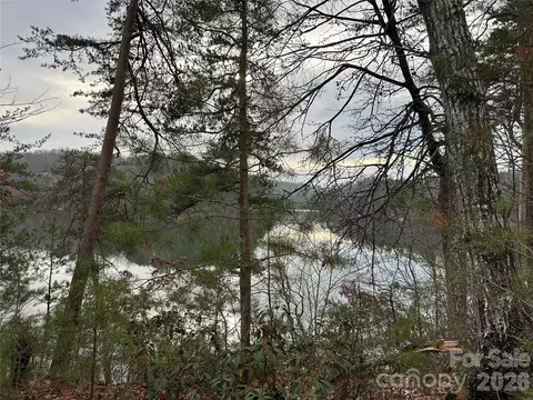 2 Jackson Cove W Rd W, Mill Spring, NC 28756 photo 4