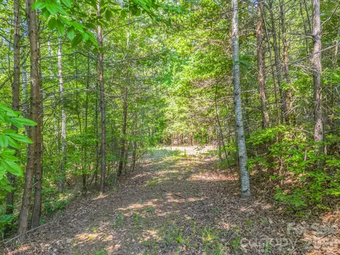 2 Jackson Cove W Rd W, Mill Spring, NC 28756 photo 4