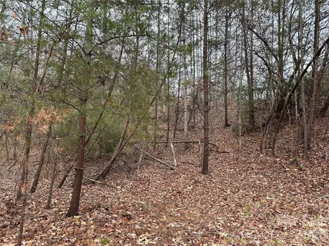 2 Jackson Cove W Rd W, Mill Spring, NC 28756 photo 8