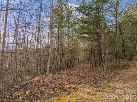 2 Jackson Cove W Rd W, Mill Spring, NC 28756 photo 34