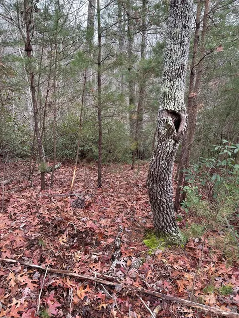 2 Jackson Cove W Rd W, Mill Spring, NC 28756 photo 9