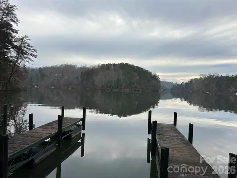 2 Jackson Cove W Rd W, Mill Spring, NC 28756 photo 18