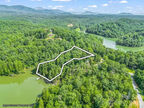 2 Jackson Cove W Rd W, Mill Spring, NC 28756 photo 29