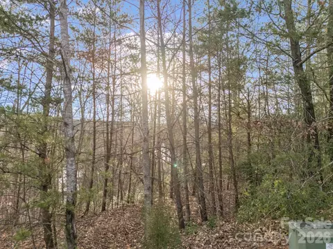 2 Jackson Cove W Rd W, Mill Spring, NC 28756 photo 35
