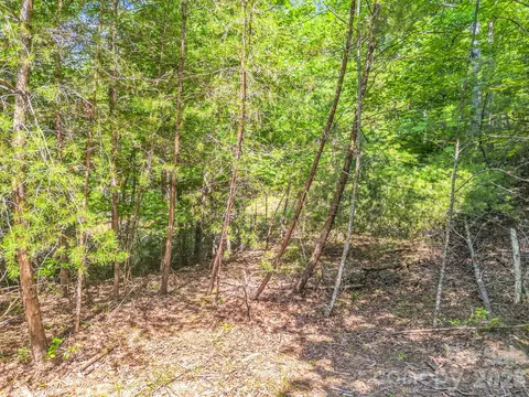 2 Jackson Cove W Rd W, Mill Spring, NC 28756 photo 6