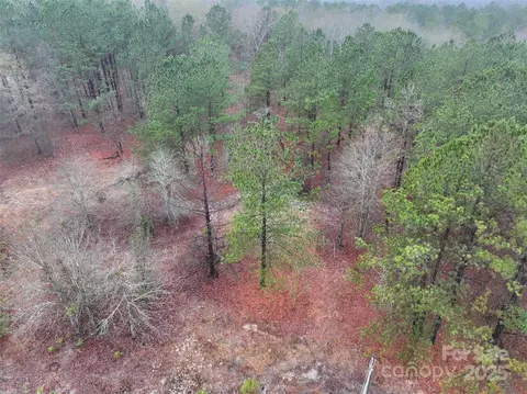 Deberry Way, Morven, NC 28119 photo 10