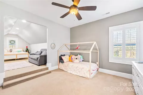 233 Walking Horse Trl, Davidson, NC 28036 photo 38