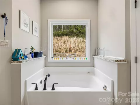 Bath - 170 Starry Night Ln, Marshall, NC 28753 photo 3 of 4