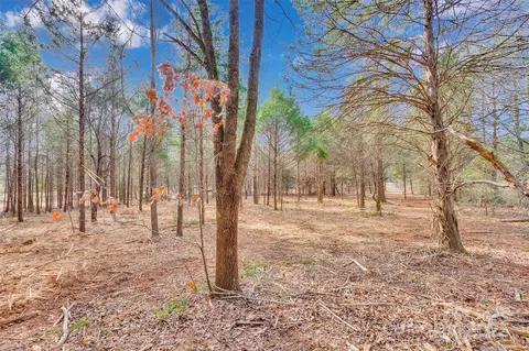 10712 Connell 3 Rd #3, Mint Hill, NC 28227 photo 6