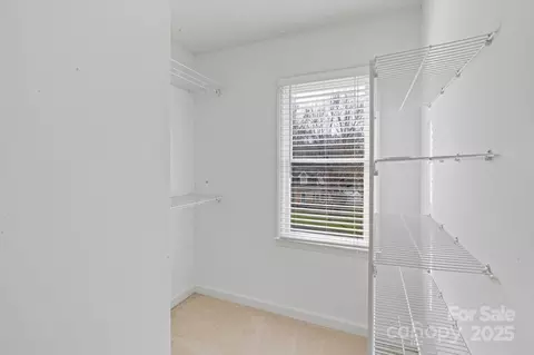 19606 Grasmere Pl, Cornelius, NC 28031 photo 24