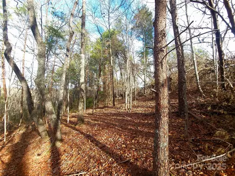 000 Skylark 8 Ln #8, Tryon, NC 28782