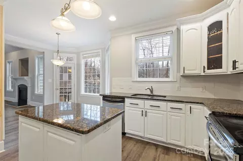 6655 Maple Spring Ct, Denver, NC 28037 photo 15