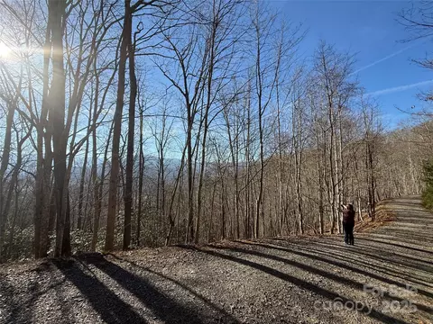222328 Brer Rabbit Trl, Waynesville, NC 28785