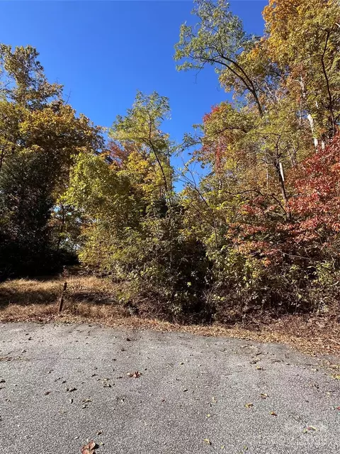 000 Cascada Vista Dr, Chimney Rock, NC 28720