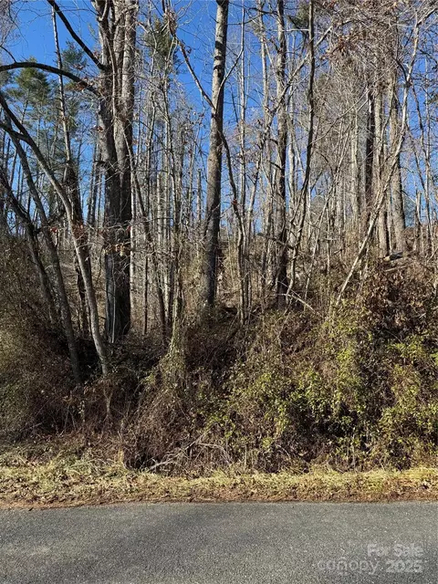 George Mckinney Circle, Spruce Pine, NC 28777
