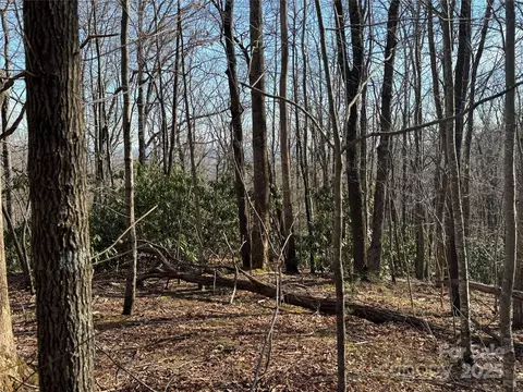 0 Judes Gap 3 Rd #3, Mill Spring, NC 28756 photo 4