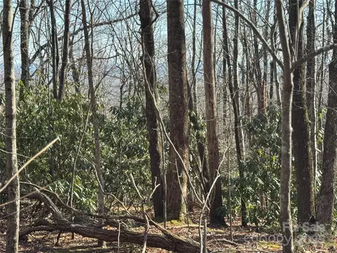0 Judes Gap 3 Rd #3, Mill Spring, NC 28756 photo 3