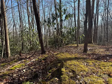 0 Judes Gap 3 Rd #3, Mill Spring, NC 28756 photo 5